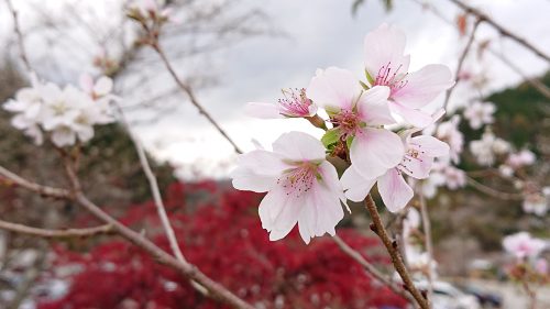 年末年始の営業のご案内